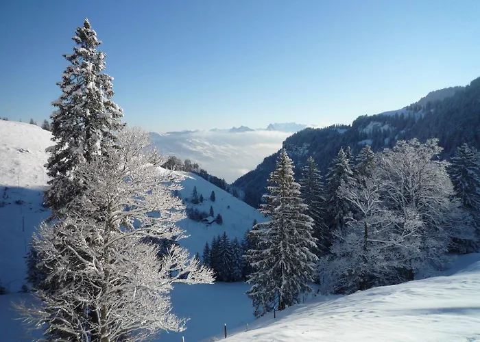 Hotel Rigi Kloesterli