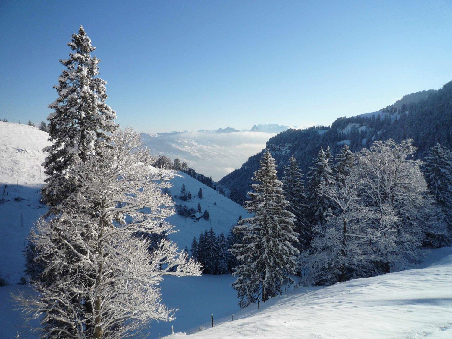 Inn Rigi Kloesterli